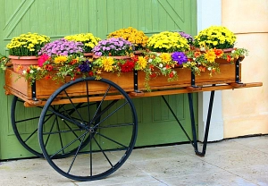 flower-cart-58418_960_720.jpg